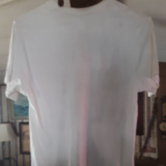 PARAMORE (S) ROCK T-SHIRT (w/Small Hole/Age Stains) Alt Emo Punk HAYLEY WILLIAMS - Picture 3 of 4